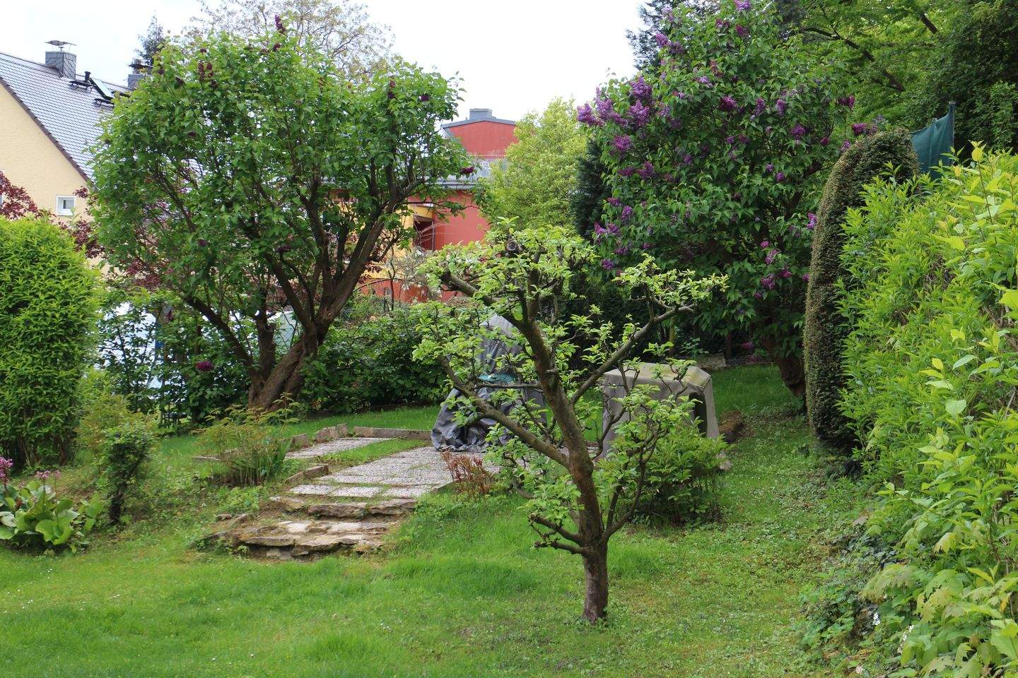 Bild 5