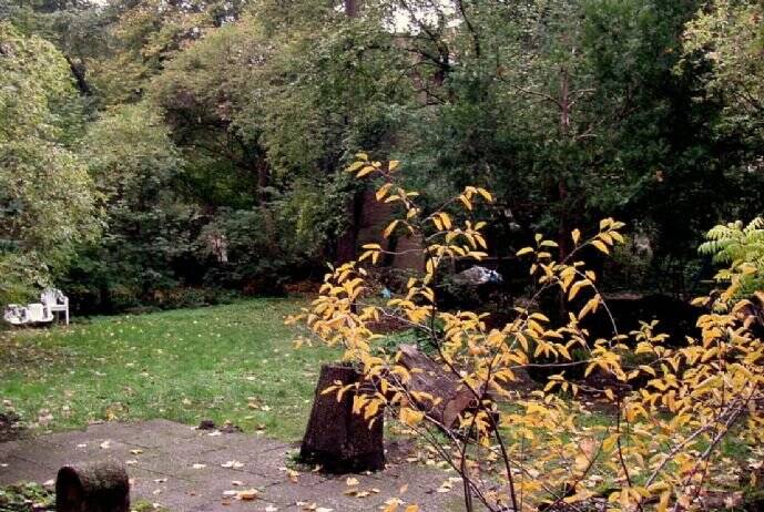 Bild 13