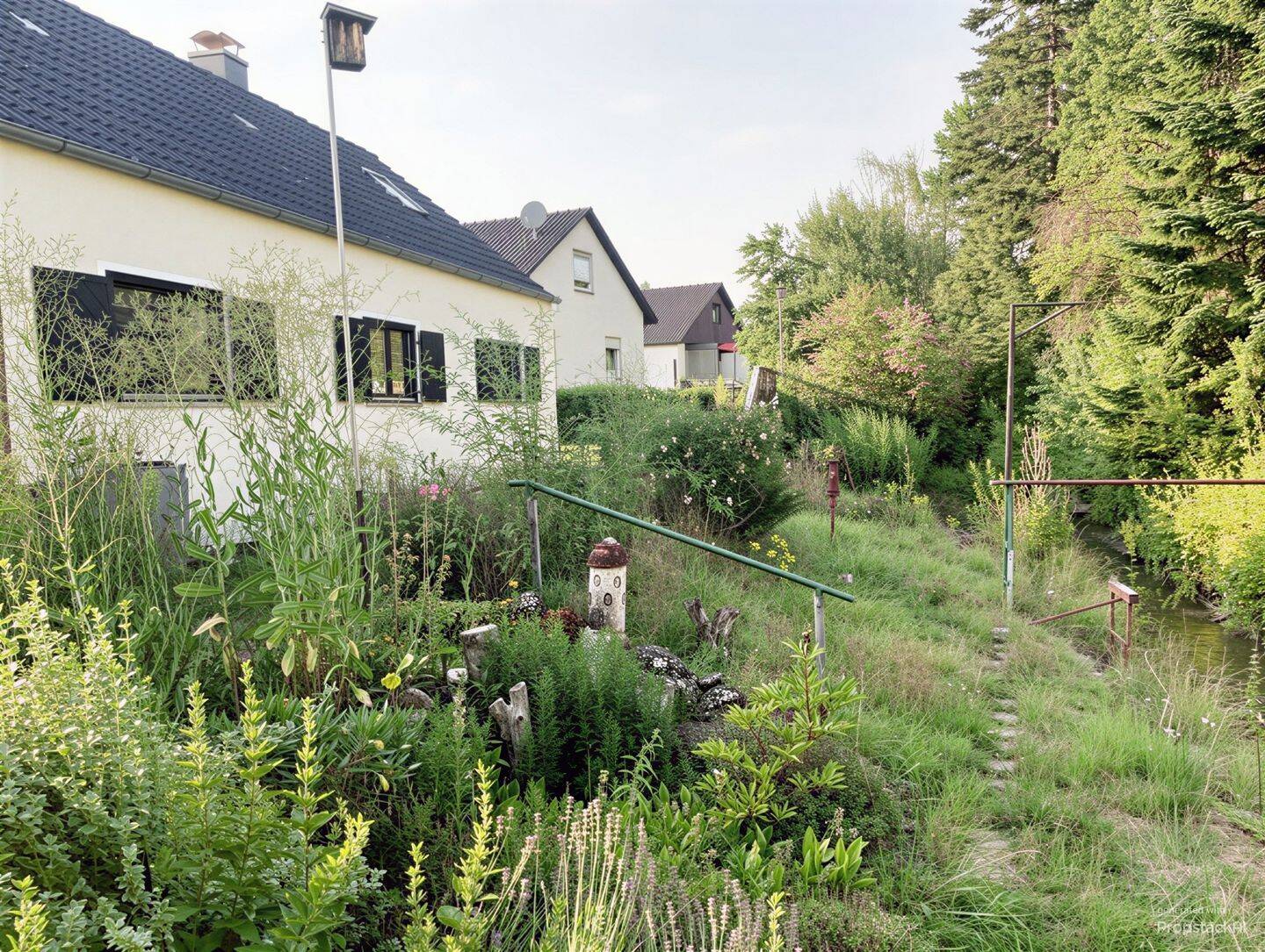 Bild 7