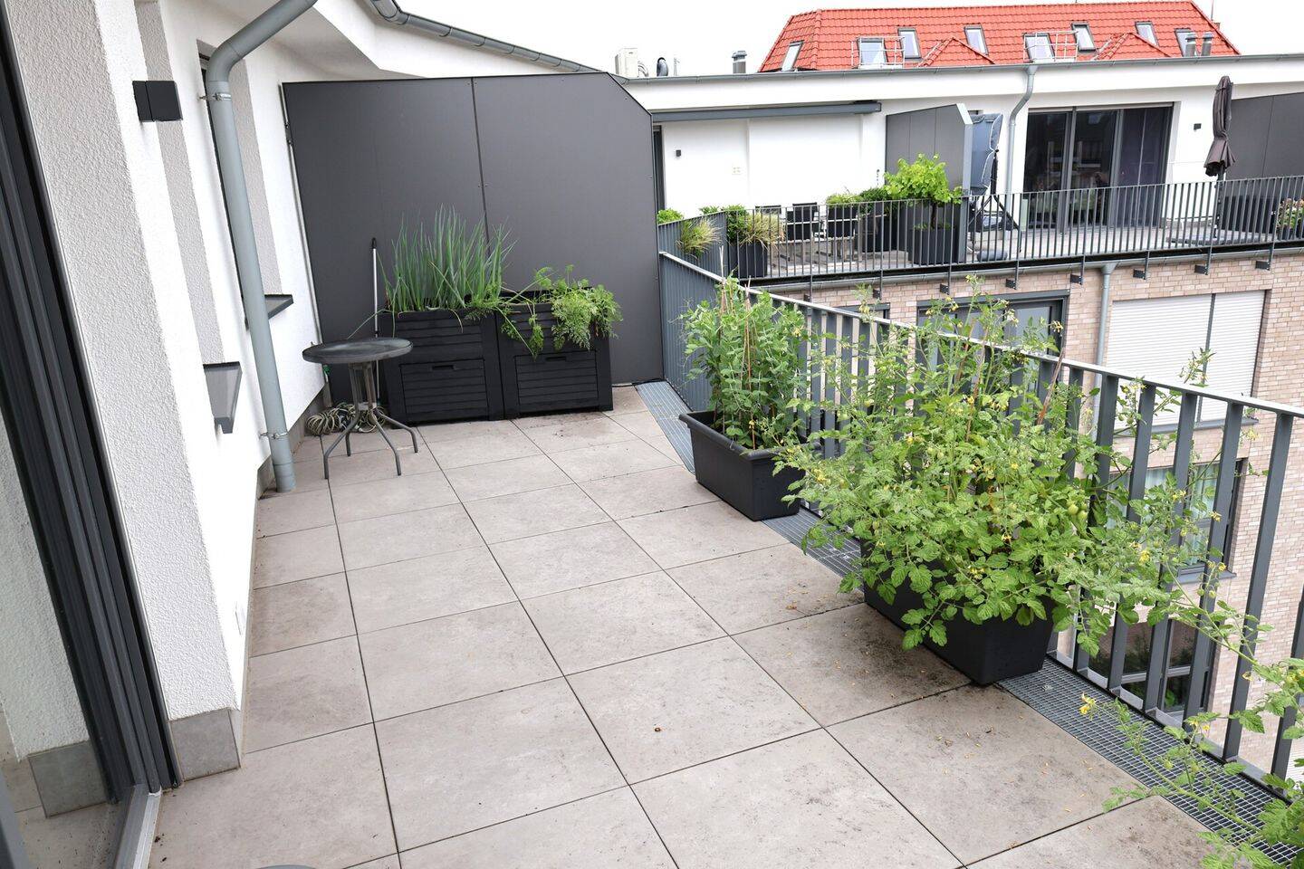 Bild 5