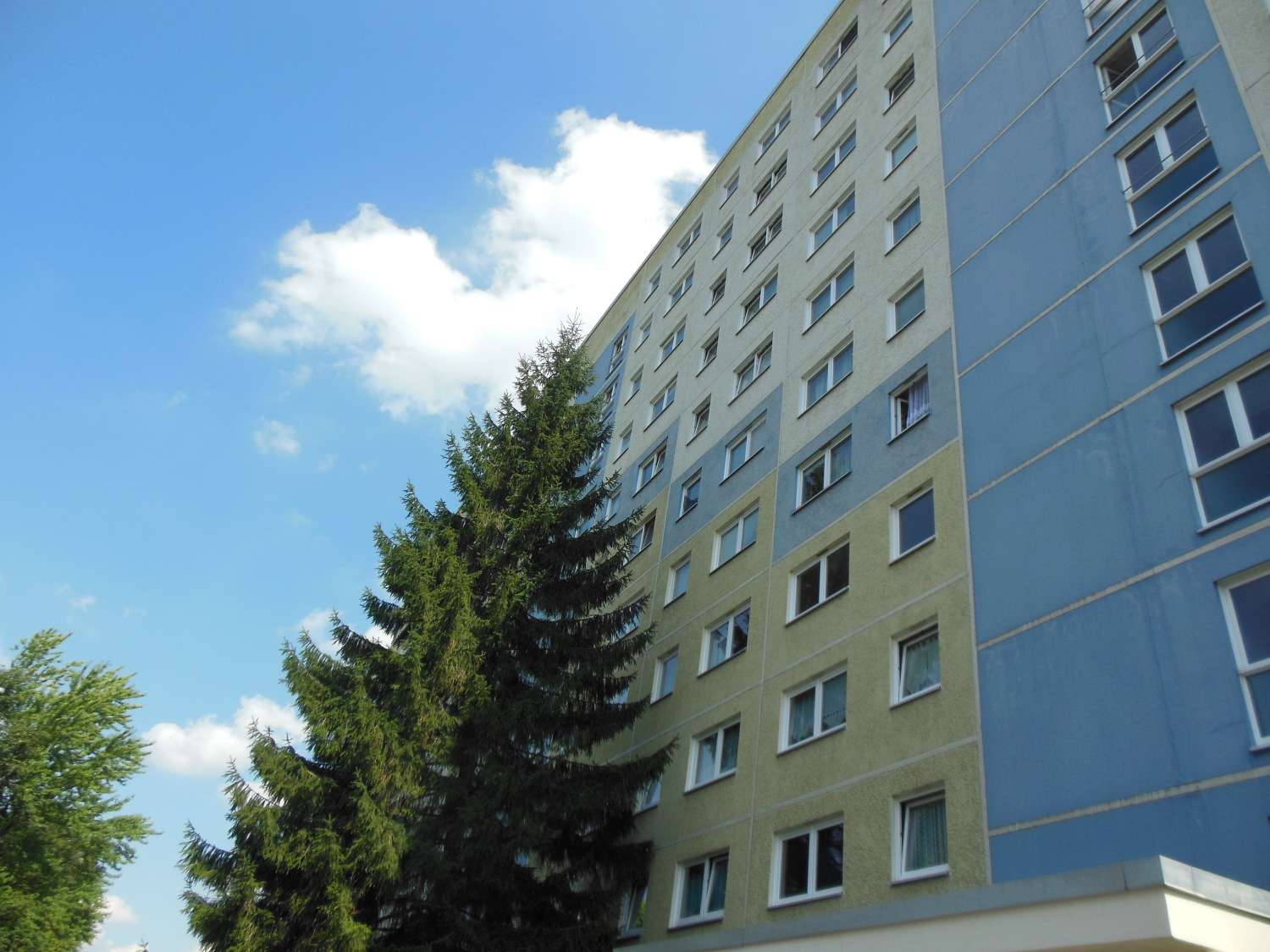 Bild 11