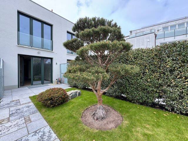 Bild 15