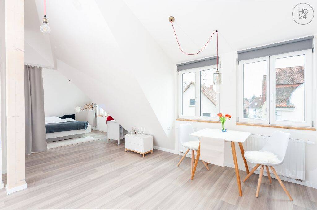 modern möblierte City Wohnung in unmittelbarer Nähe der Ehinger Parkanlage, 89077 Ulm (Söflingen Weststadt)