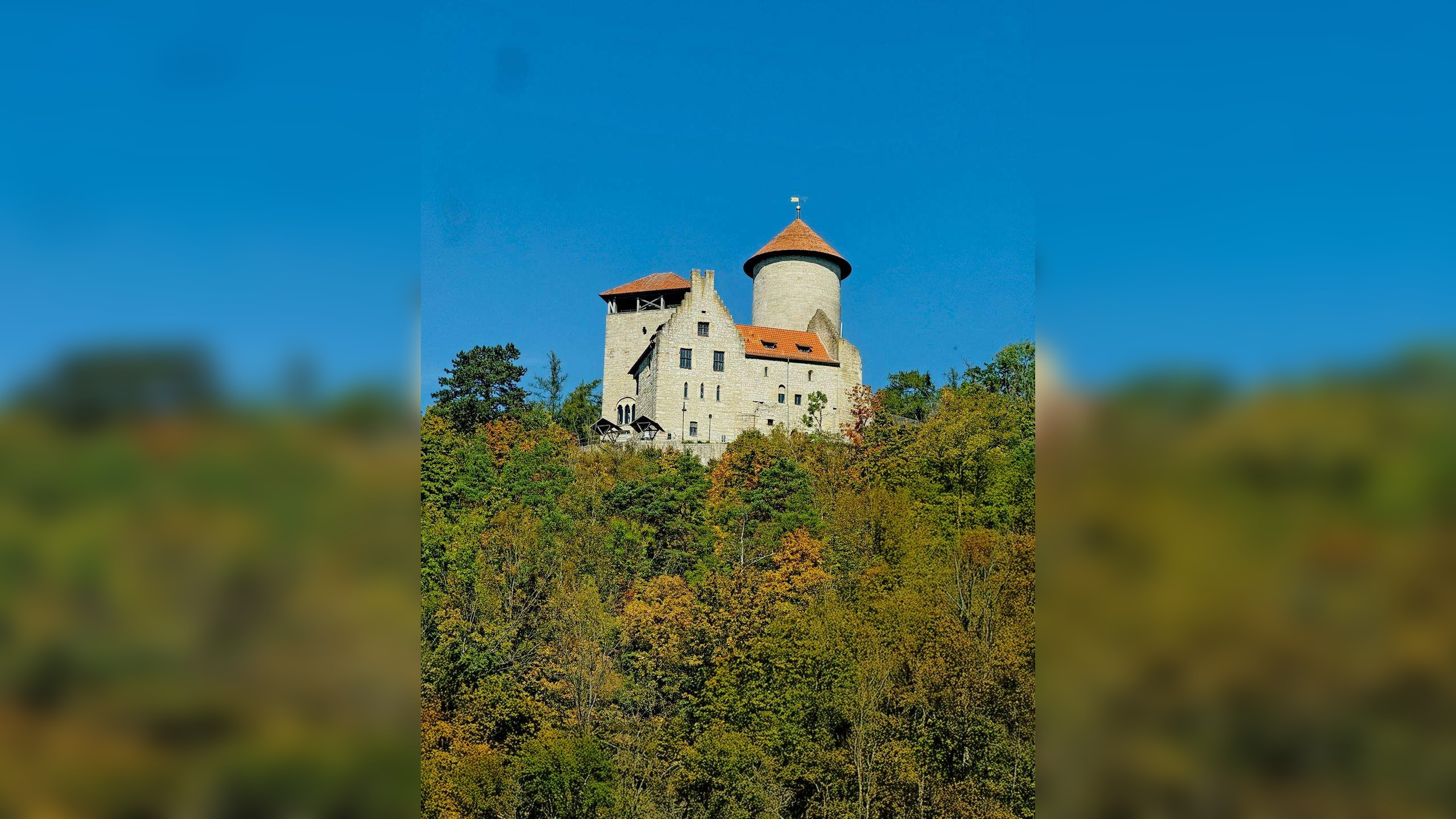 Bild 8