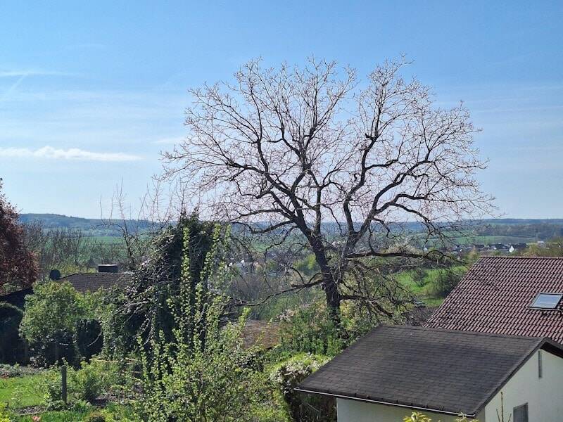 Bild 19