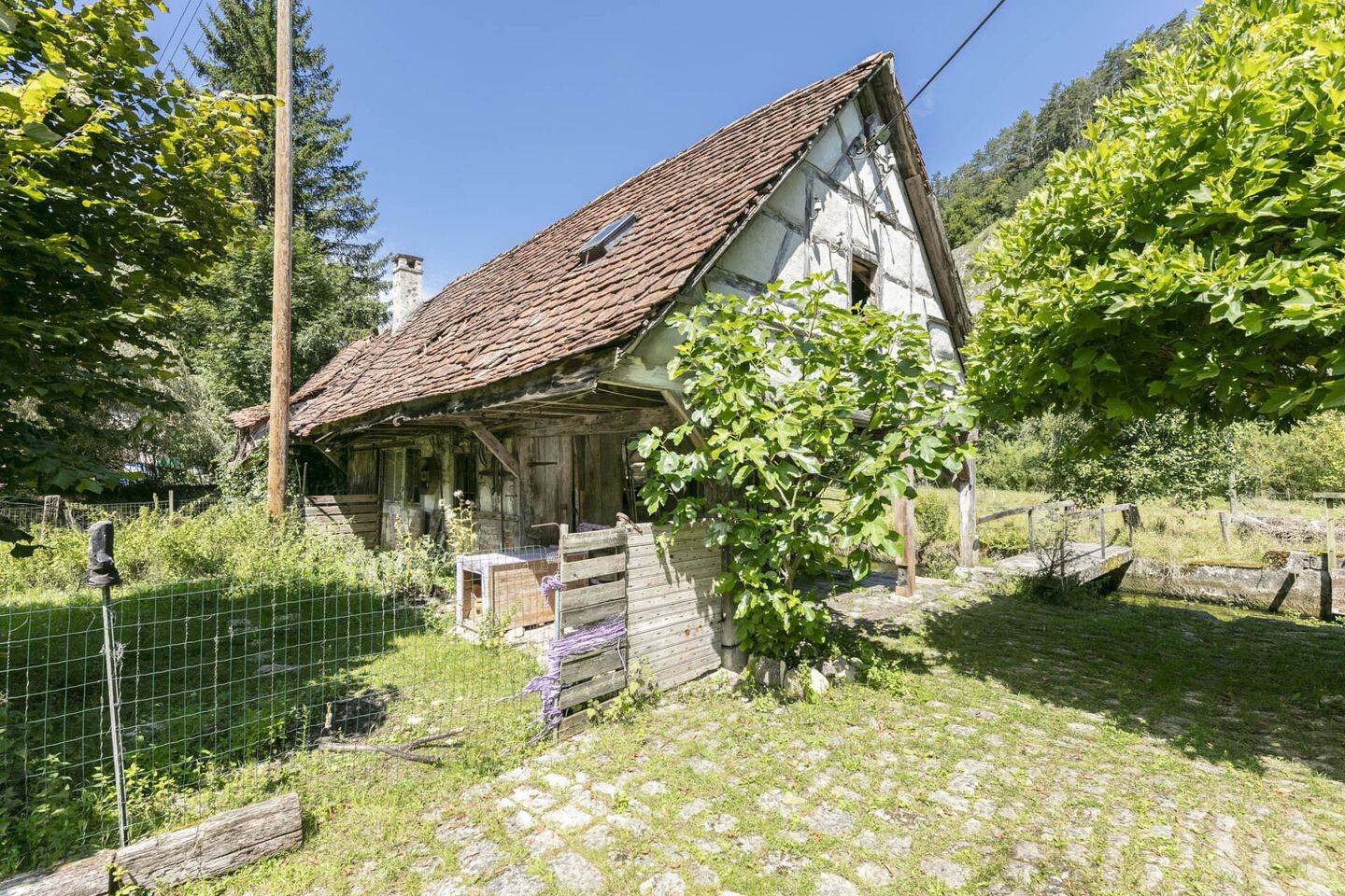 Bild 5