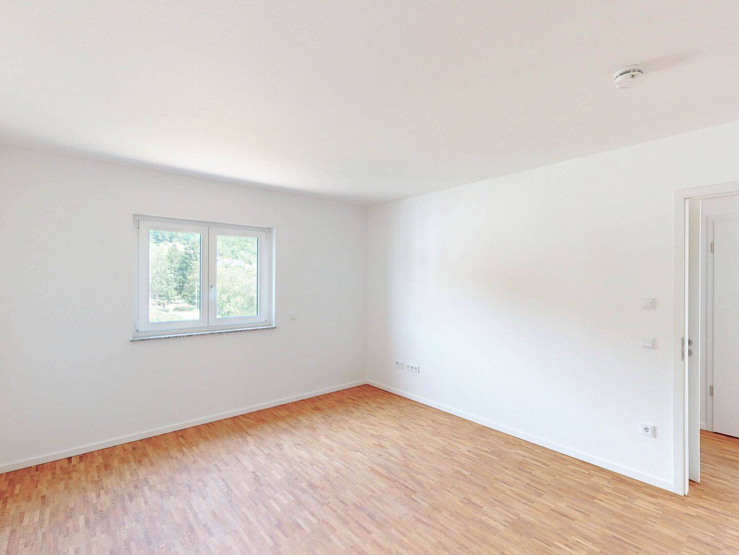 Bild 19