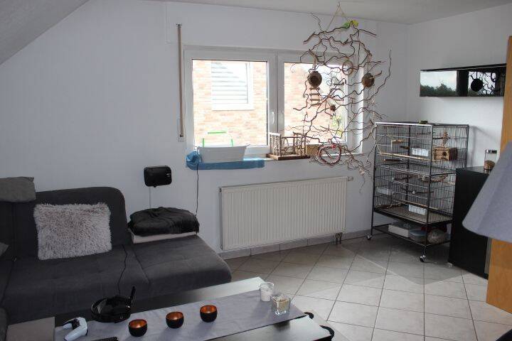 Bild 14