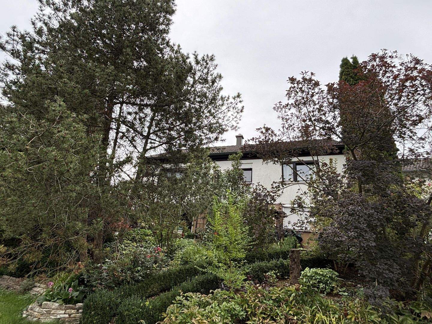 Bild 6