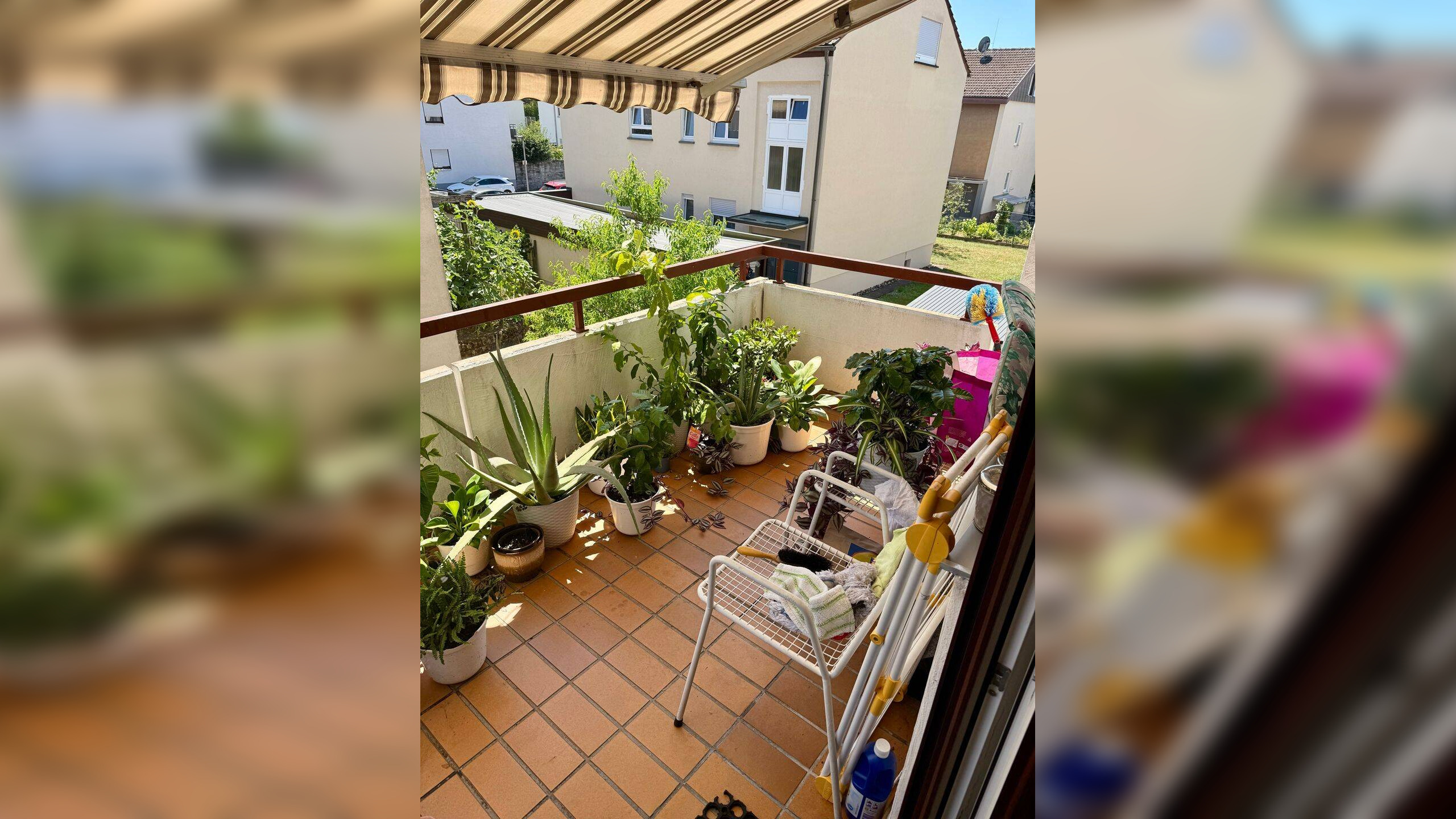 Bild 12
