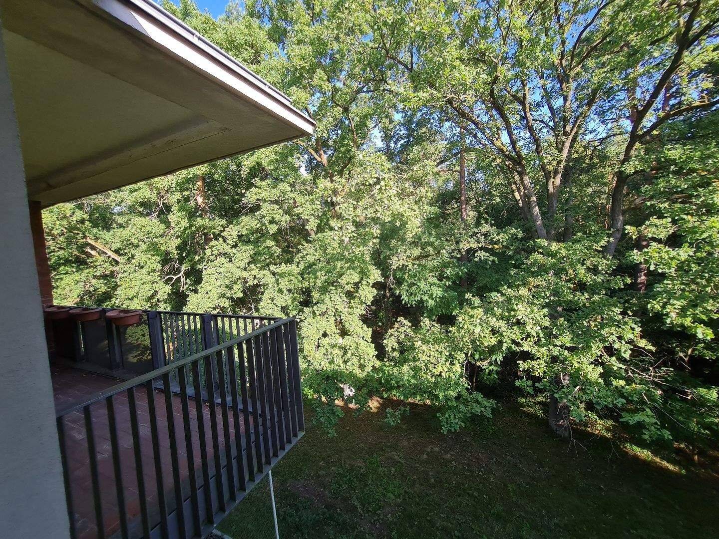 Am Grunewald | Dahlem| Zeitmietvertrag 3 Jahre| vollmöbliert| großer Balkon| Einbauküche, 14195 Berlin (Steglitz-Zehlendorf)