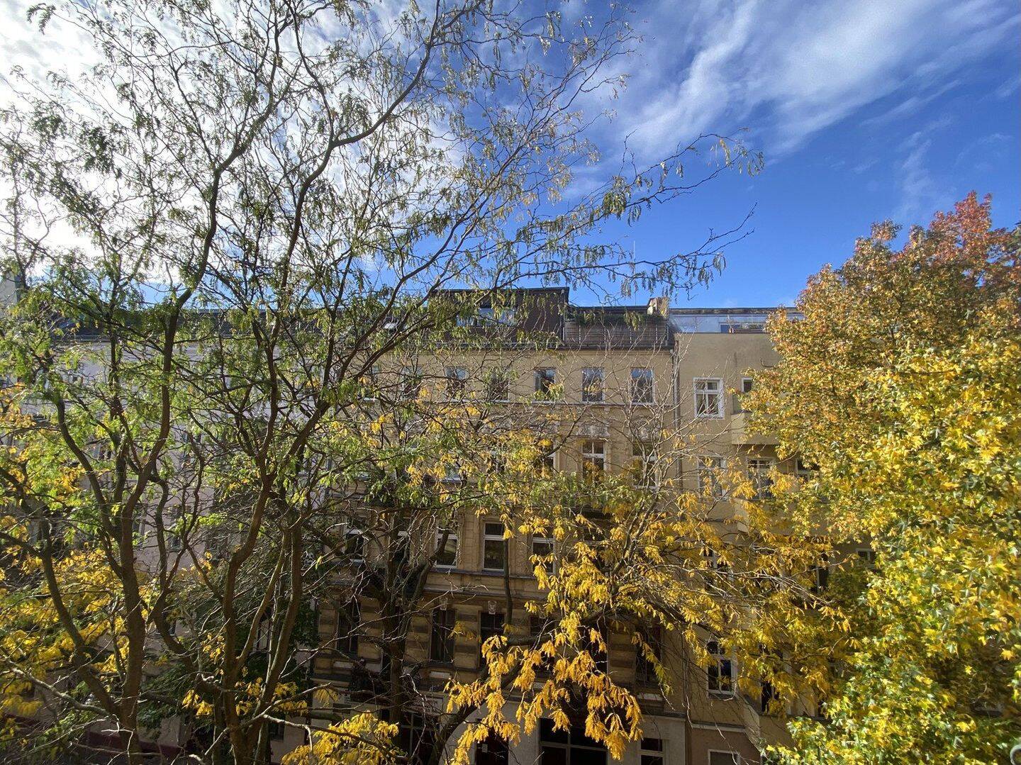 Westhafen Stuckaltbau, sonnig, grün, ruhig, Balkon, hohe Räume, 10551 Berlin (Mitte Moabit)