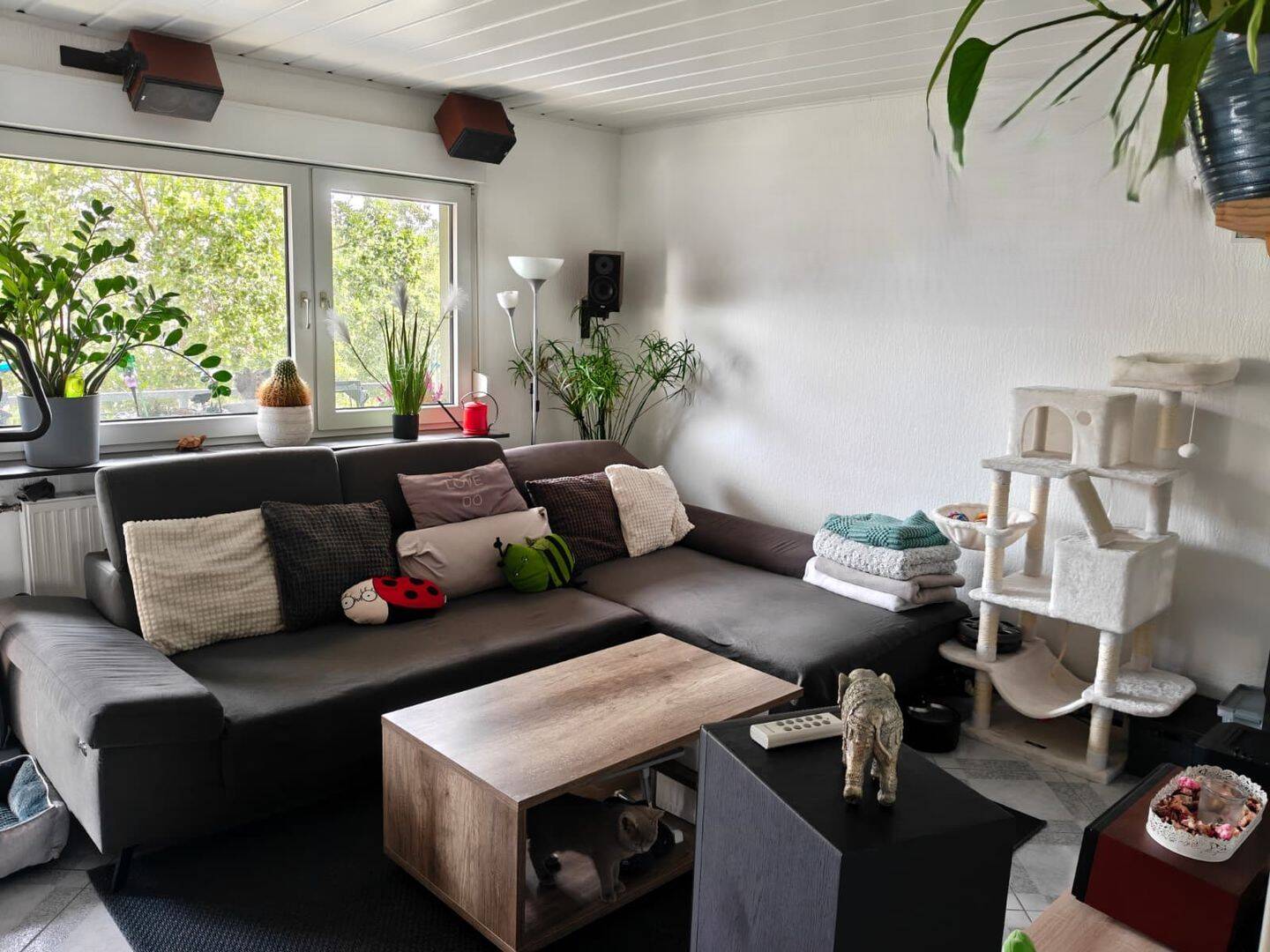 Gepflegte 3-Zimmer-Wohnung mit Balkon und Aufzug in Bad Dürkheim, 67098 Bad Dürkheim