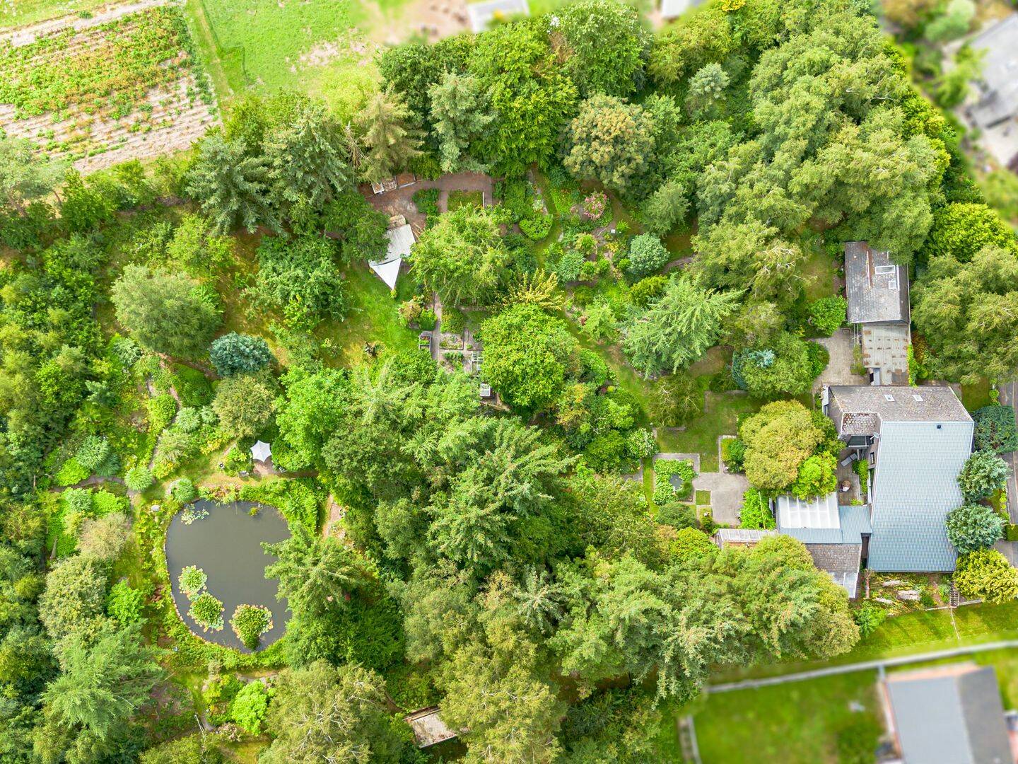 Wohnen mit Weitblick – außergewöhnliches Anwesen mit parkähnlichem Garten, 25862 Joldelund