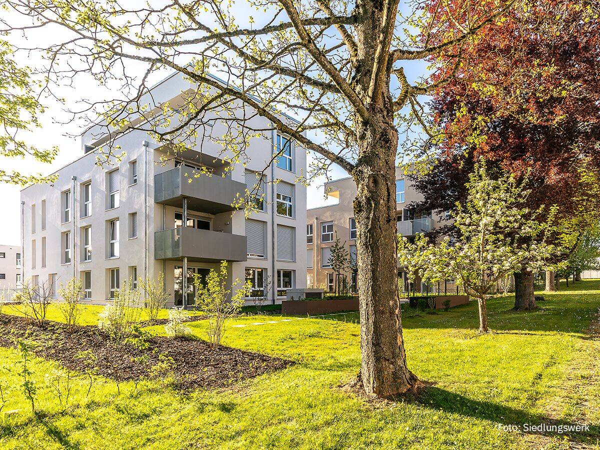 4-Zimmer-Wohnung in Dornstadt »ETW im Neubaugebiet Hahnenweide« – Gartenanteil, 89160 Dornstadt (Himmelweiler)