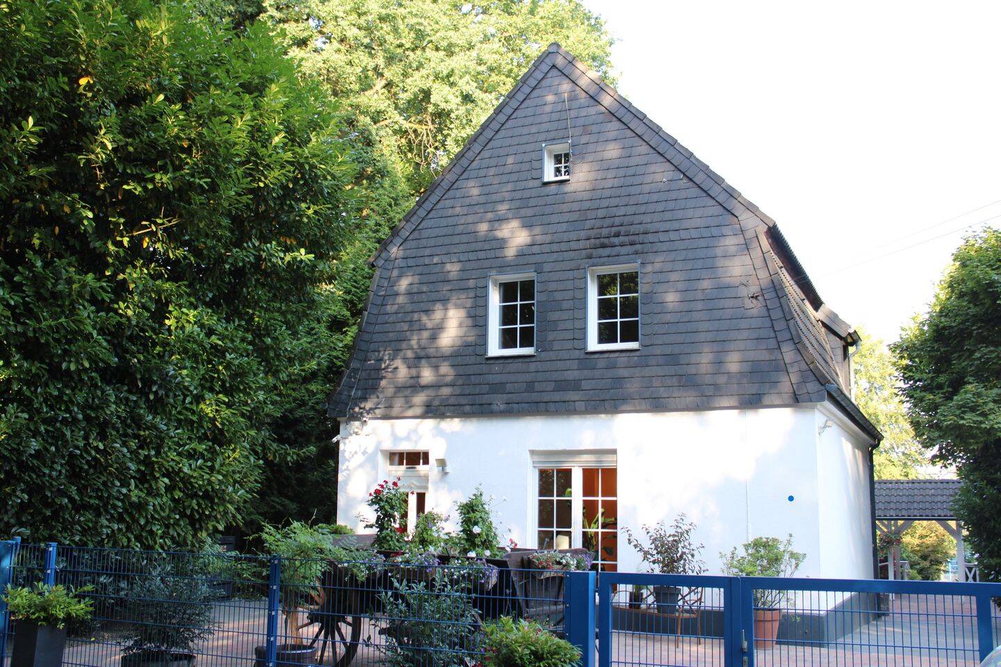 Bild 5