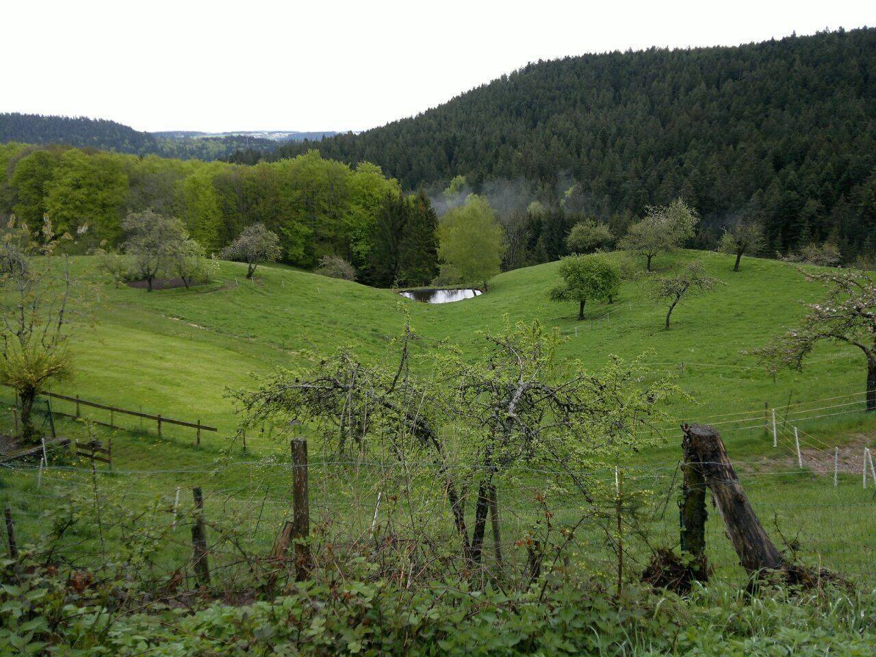 Bild 5