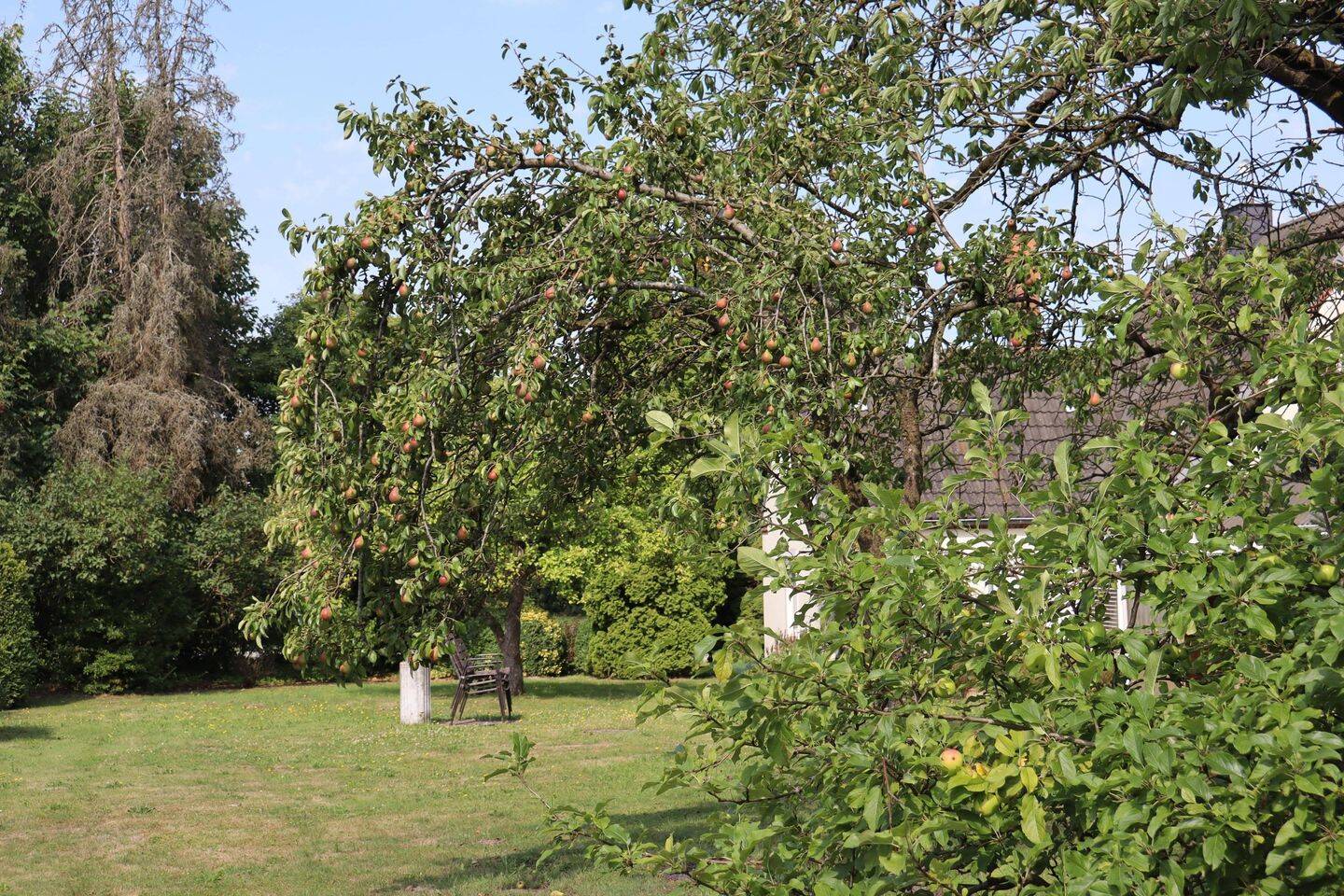 Bild 7
