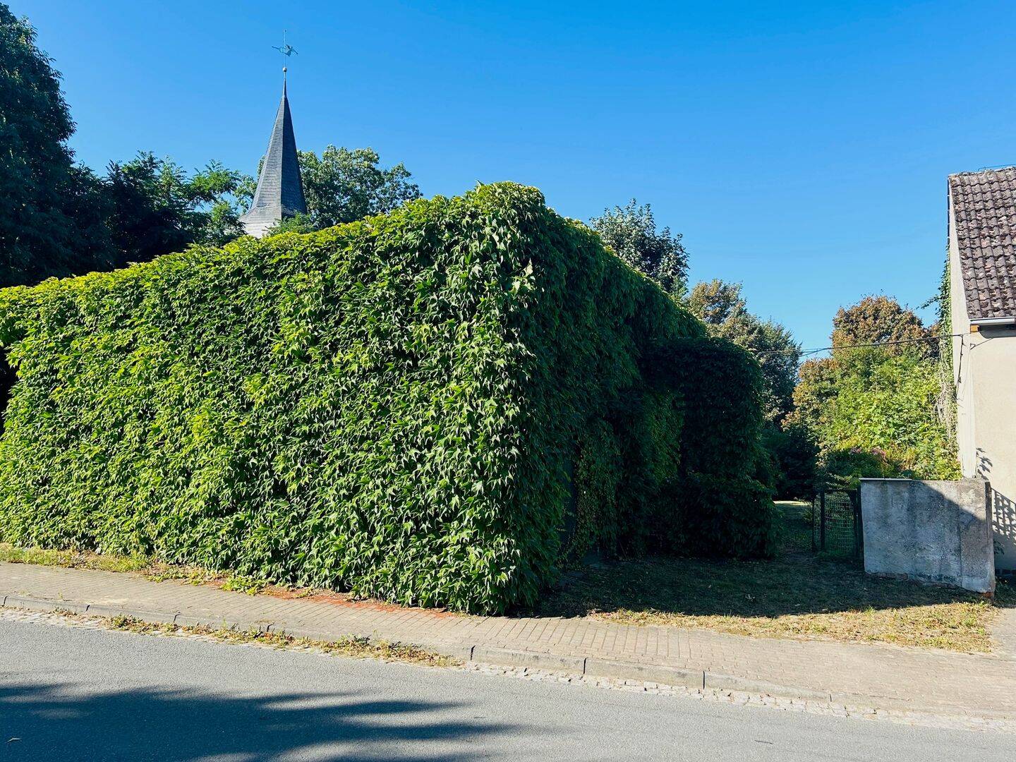 Bild 13