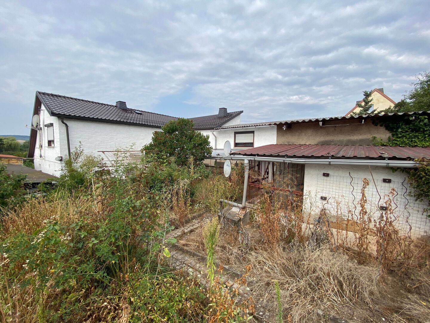 Bild 12