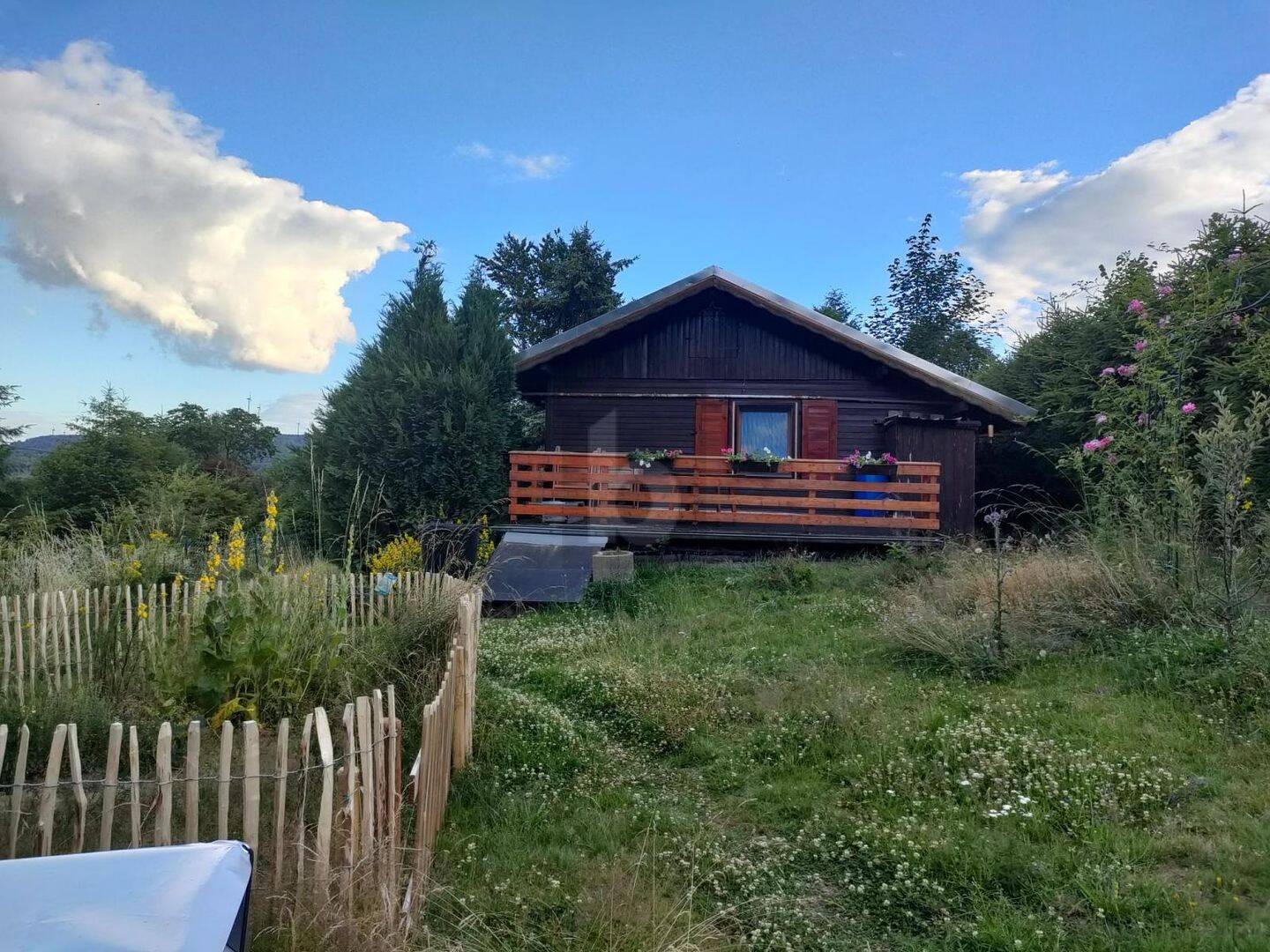 Bild 5
