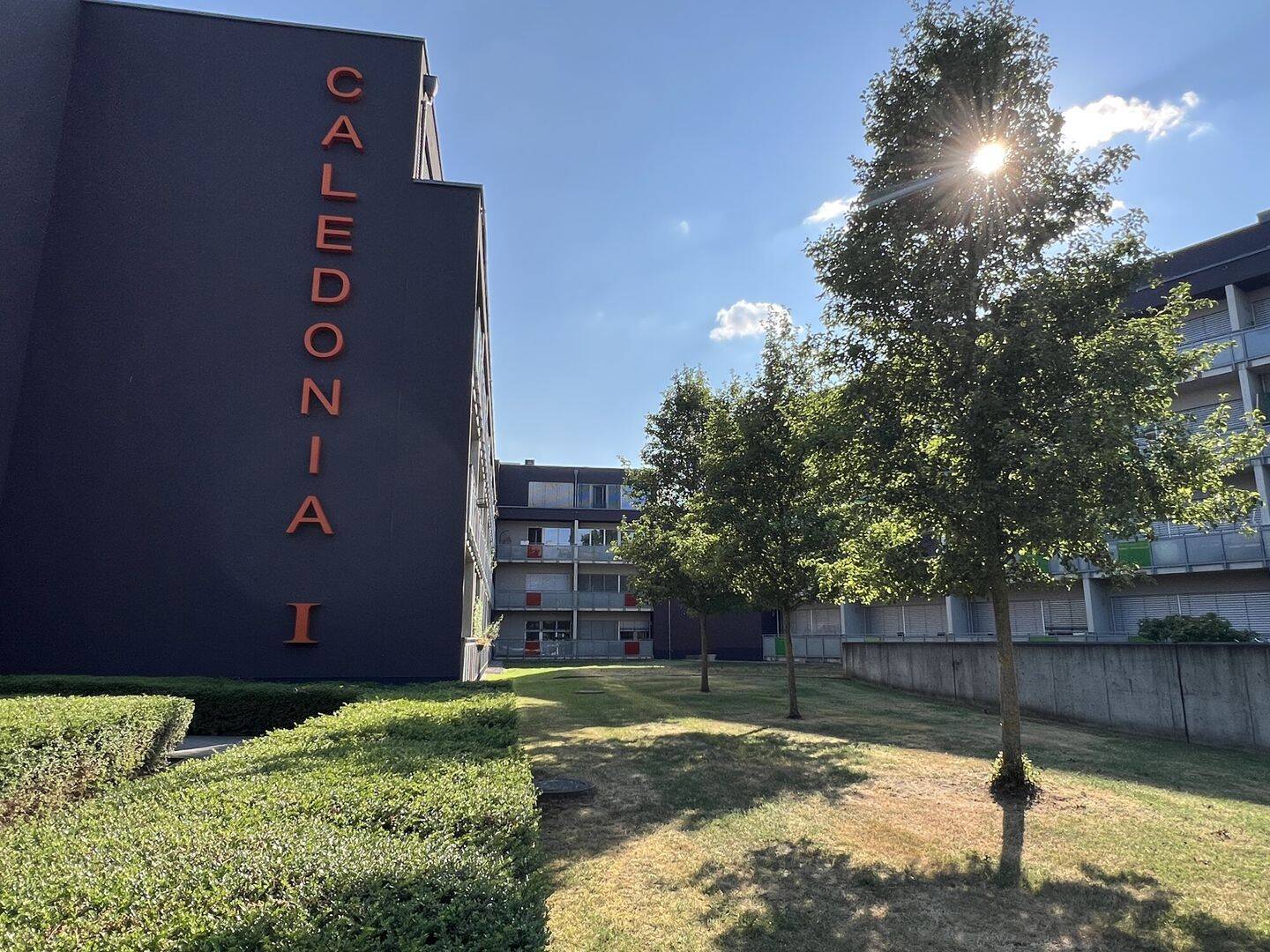 Gemütliche 1-Zimmer-Wohnung zur Miete in Münster | Wentzel Dr., 48161 Münster (Gievenbeck Nienberge Roxel Sentrup Sprakel)