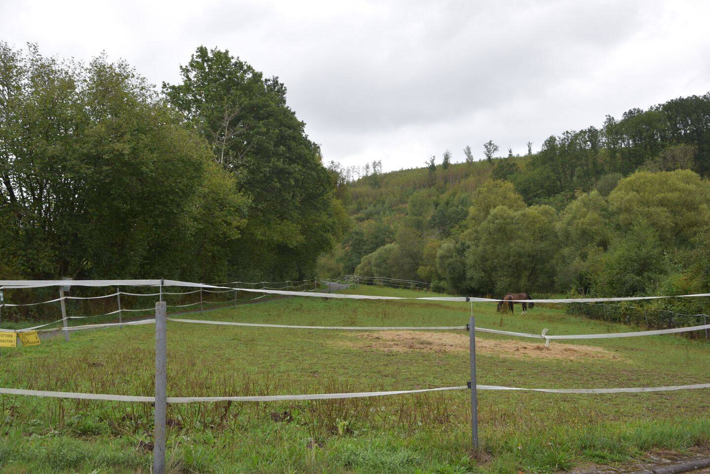Stall/Paddock/ Weideflächen 1,5 HA ! 3 FH in traumhafter Lage !, 57250 Netphen