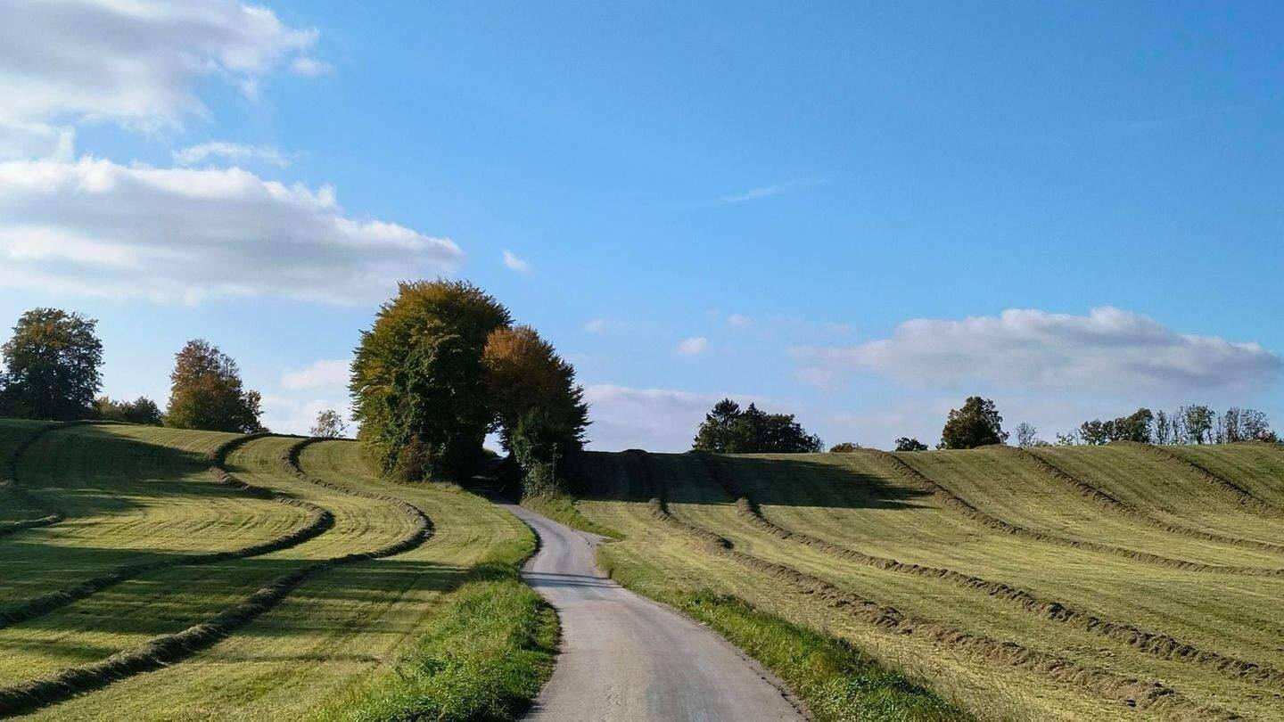 Rarität! Eine wirkliche Alleinlage! Landhaus mit variablem Grundriss in Zell!, 82067 Schäftlarn