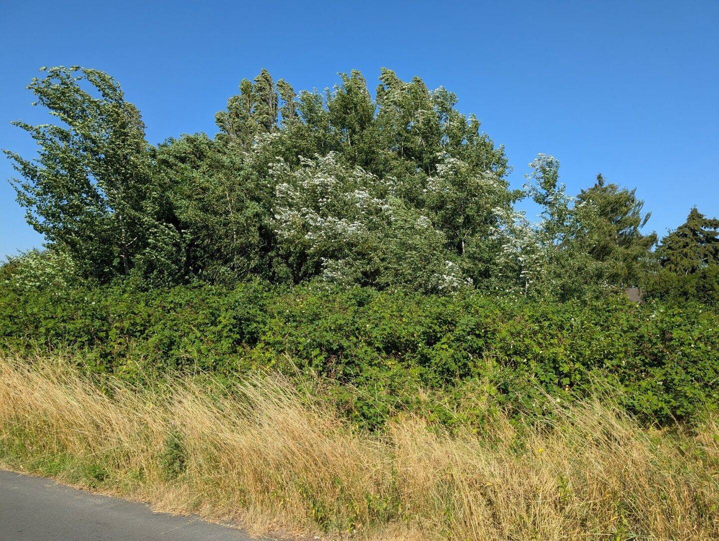 Exklusives Grundstück für Ihre Traum-Stadtvilla – nur noch wenige Möglichkeiten!, 40723 Hilden