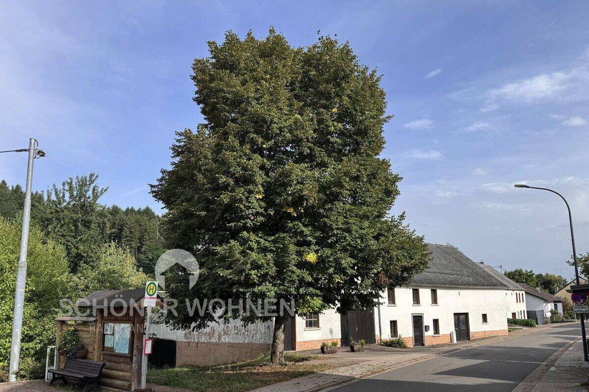 Wadern-Stadtteil: Sanierungsbedürftiges Bauernhaus auf Traumgrundstück, 66687 Wadern
