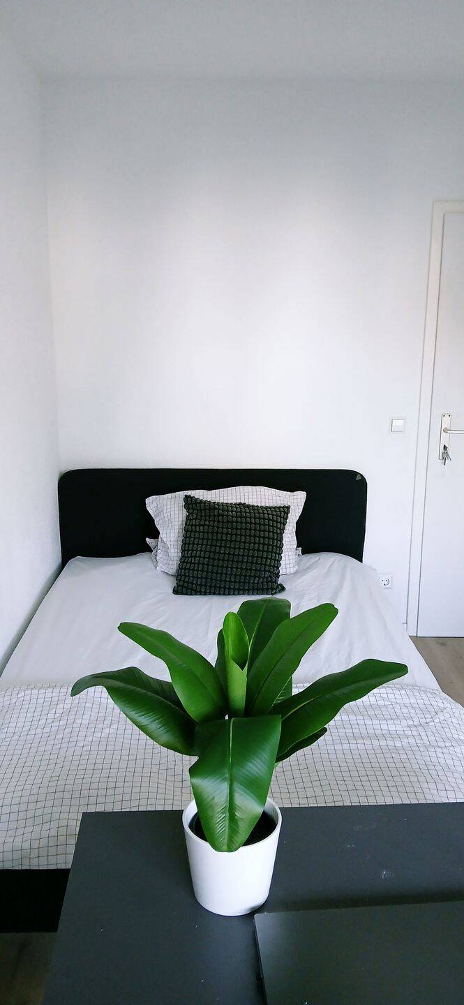 Room Available in Shared 6-Person Apartment – Frankfurt-Höchst – 65929 Frankfurt am Main – Bild 1 von 1
