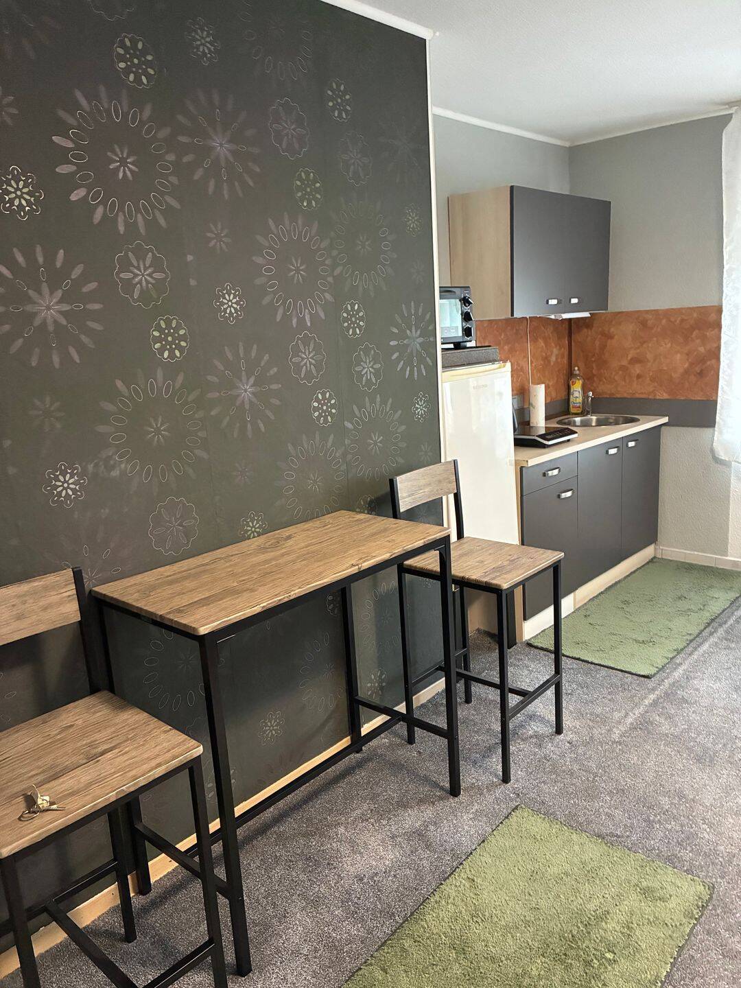 Möbliertes 1 Zimmer Appartement nähe Volkspark Zentrale Lage….., 67657 Kaiserslautern (Innenstadt)