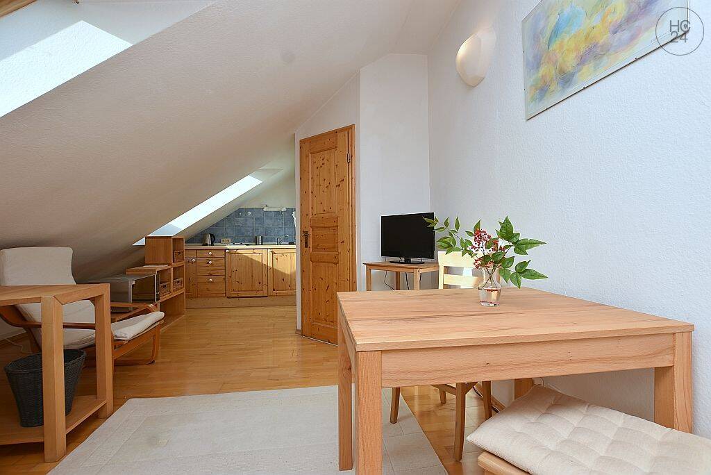 Möbliertes Apartment in toller Lage in Stuttgart Bad Cannstatt, 70376 Stuttgart (Bad Cannstatt Burgholzhof Münster Zuffenhausen)