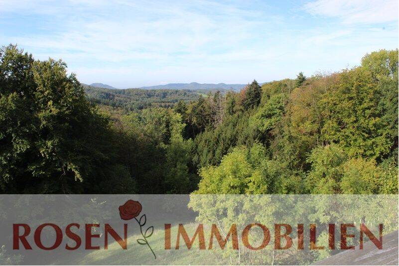 Teilmöbliert mit traumhafter Aussicht, 69483 Wald-Michelbach