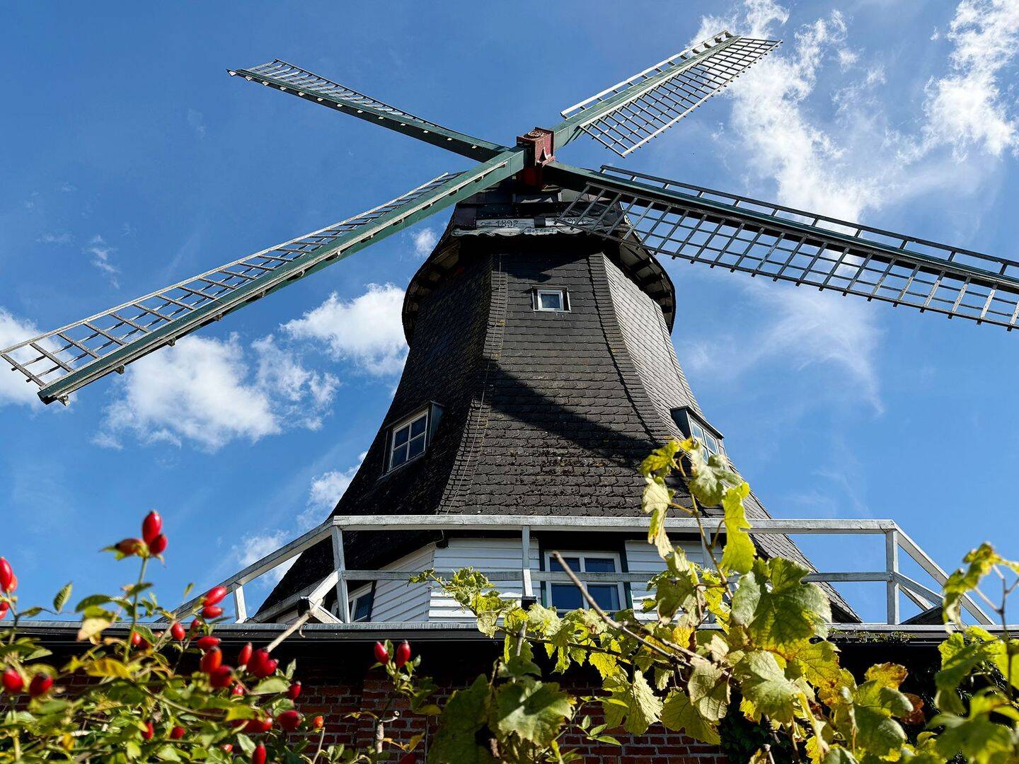 Einzigartige Mühle | Vielfältige Möglichkeiten, 25704 Meldorf