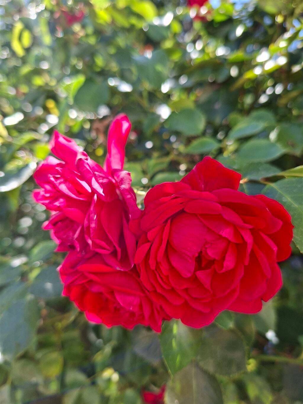 klein aber fein, 9577 Niederwiesa