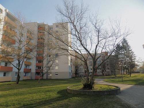 Platz für Familien: Sanierte 3-Zimmer-Wohnung im Erdgeschoss, 53119 Bonn (Auerberg Nordstadt Tannenbusch Zentrum)