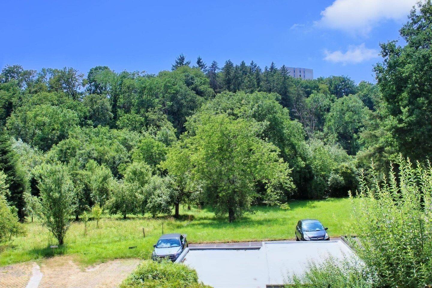 Attraktiv wohnen und nachhaltig investieren – Eigentumswohnung in gefragter Lage von Trier-Olewig, 54295 Trier