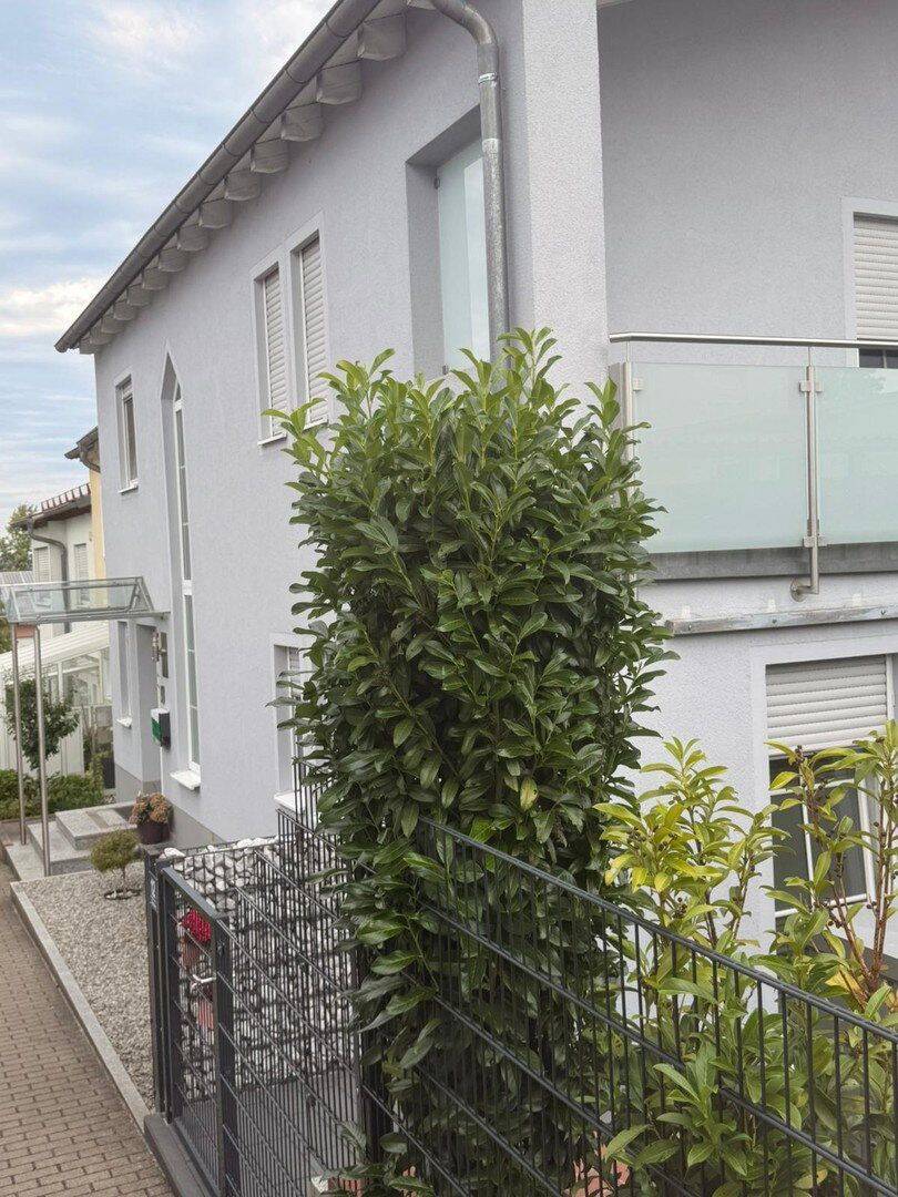Einfamilienhaus mit Einliegerwohnung, 93083 Obertraubling