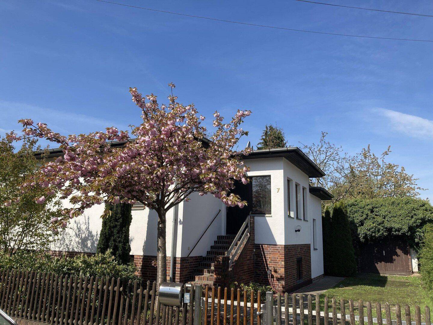 Provisionsfrei: Gepflegte DHH in Top-Lage Biesdorf – 160m² Gesamtfläche, 12683 Berlin (Marzahn-Hellersdorf Biesdorf Kleingartenanlage Biesenhorst 1)