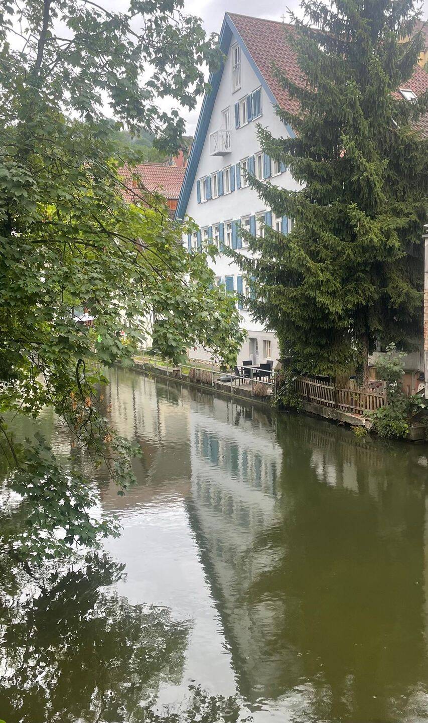 WG Zimmer, warm, 72160 Horb am Neckar