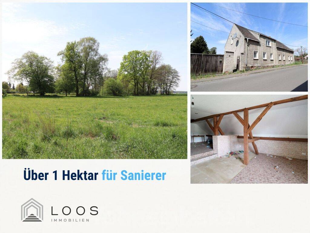 Sanierungsprojekt mit über 10.000 m² Grundstück in Naundorf, 4936 Fichtwald (Naundorf)