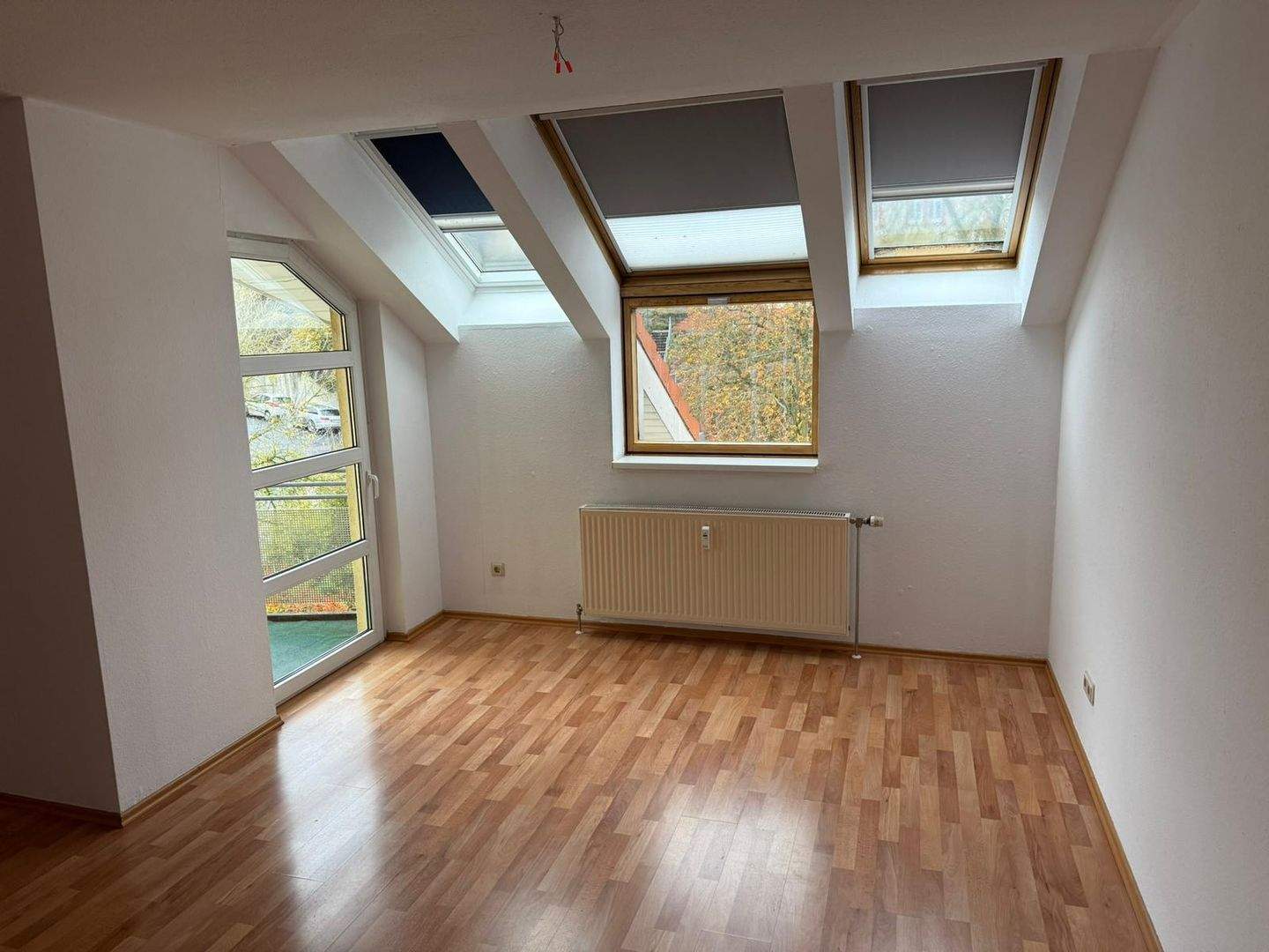 Bild 12