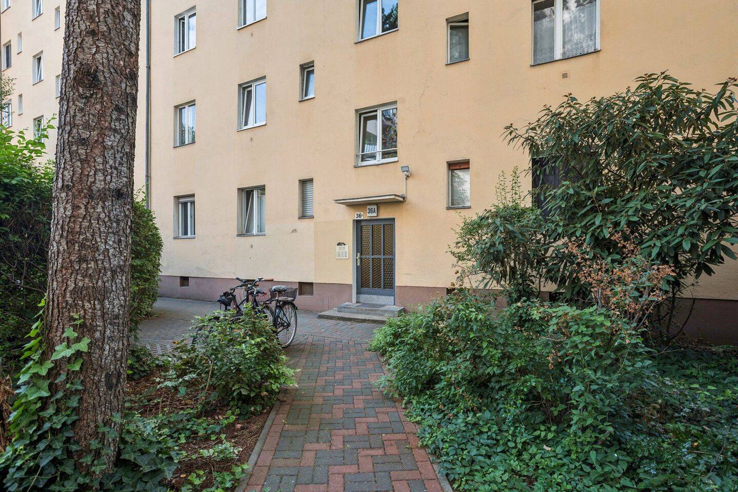 Bild 19