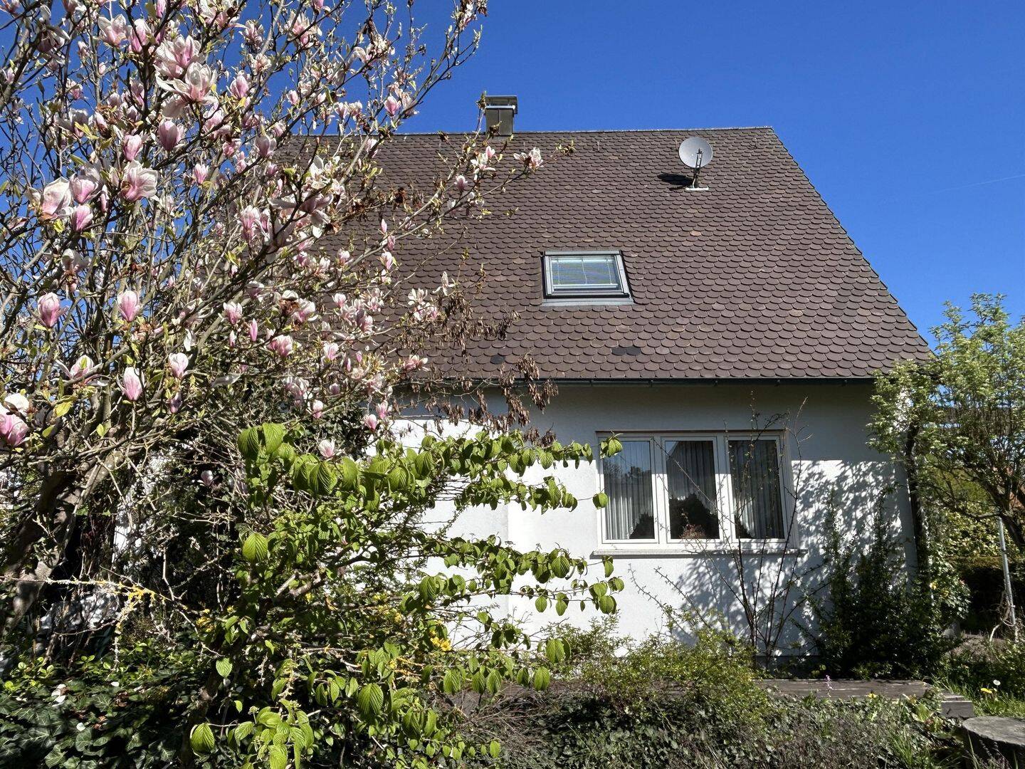 Bild 7