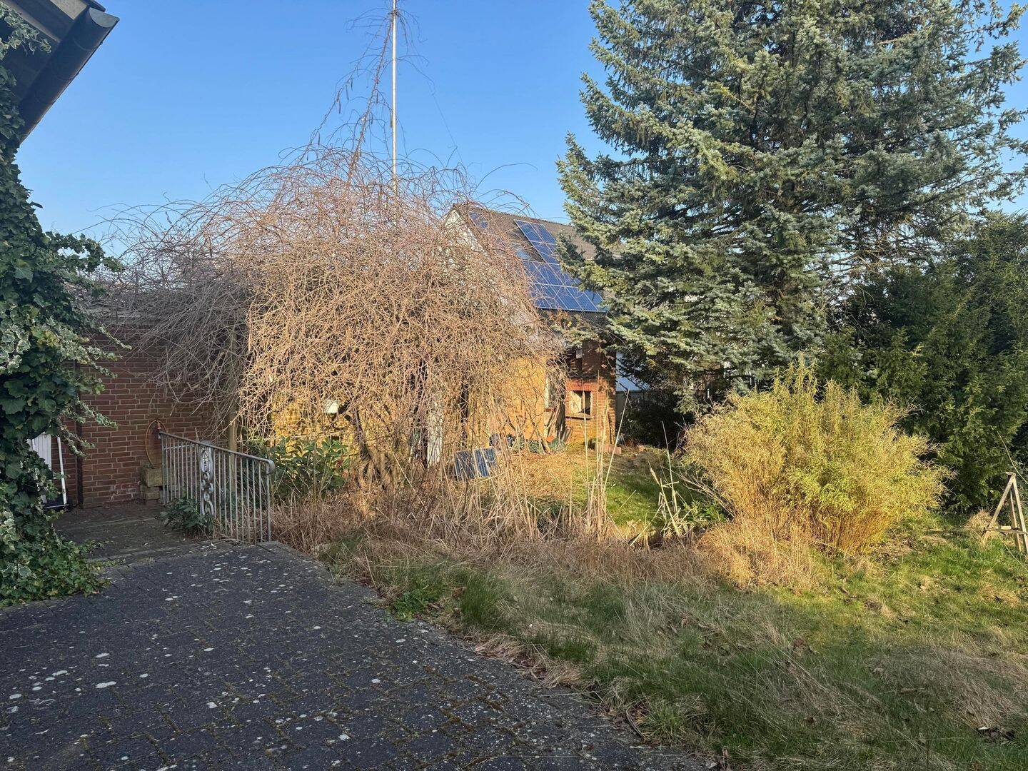 Bild 5
