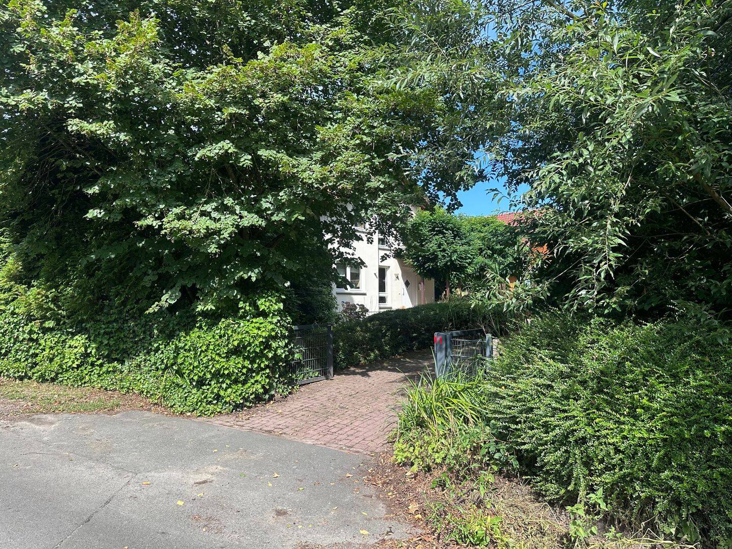 Bild 5