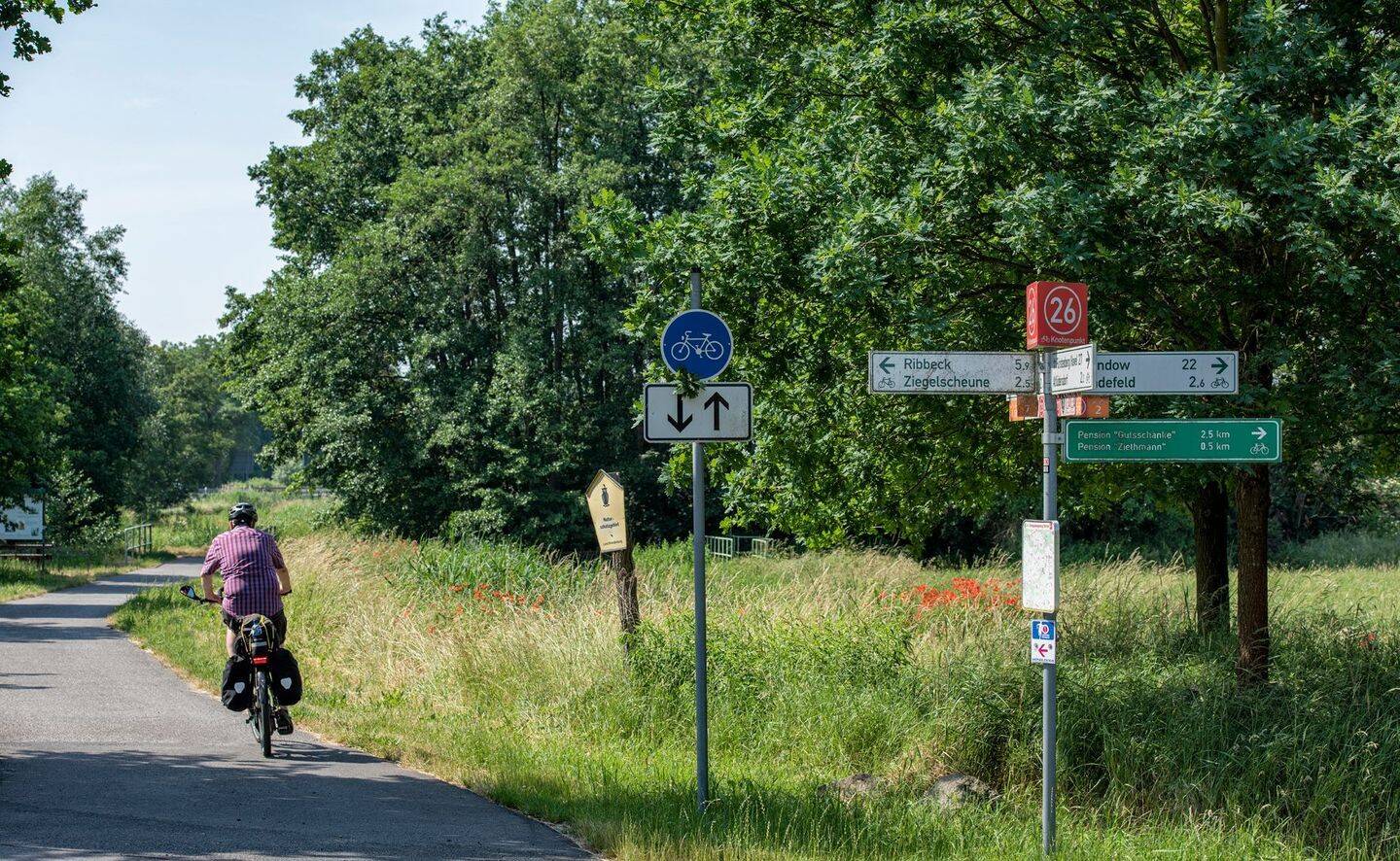 Bild 19