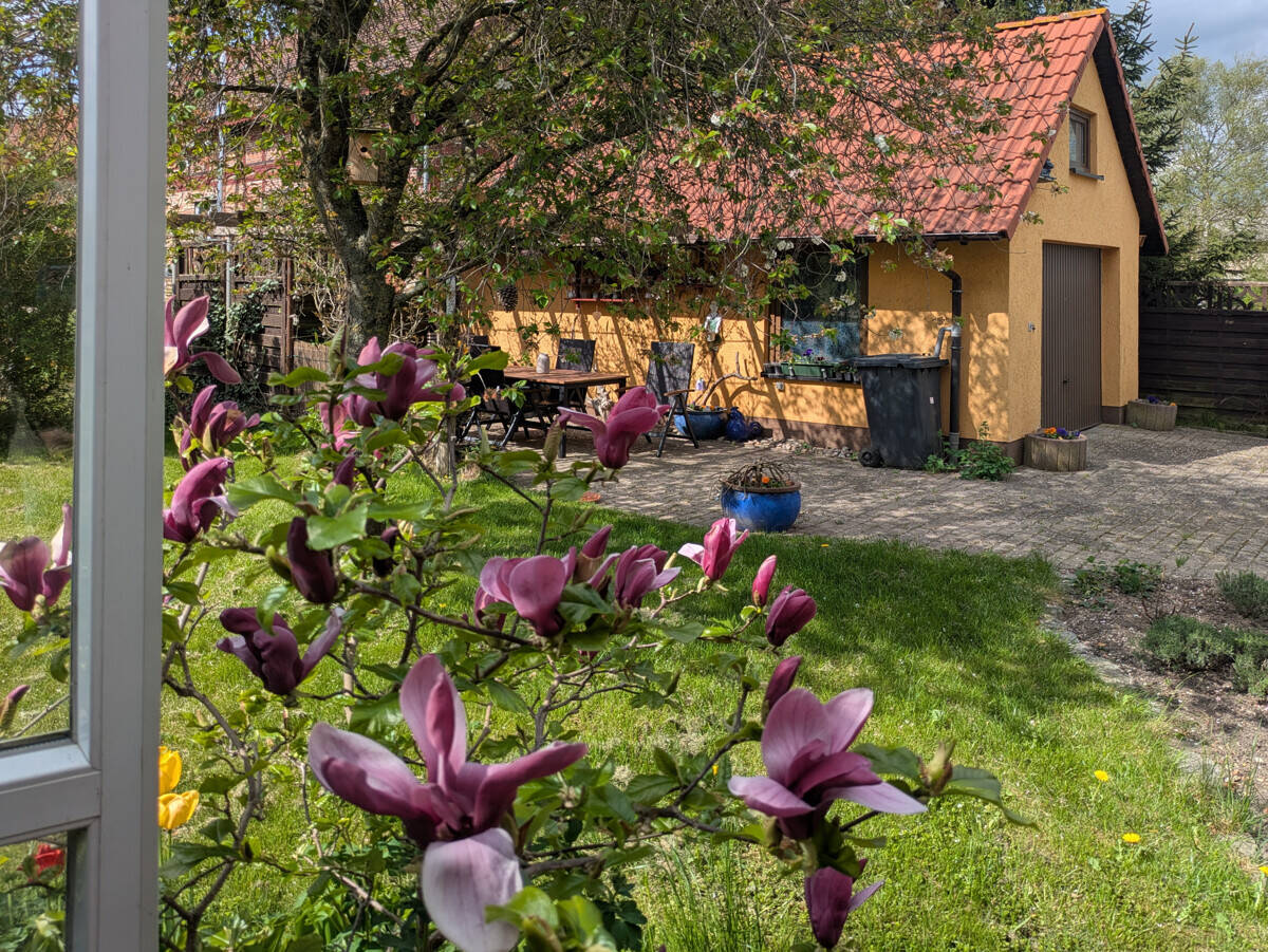 Bild 5