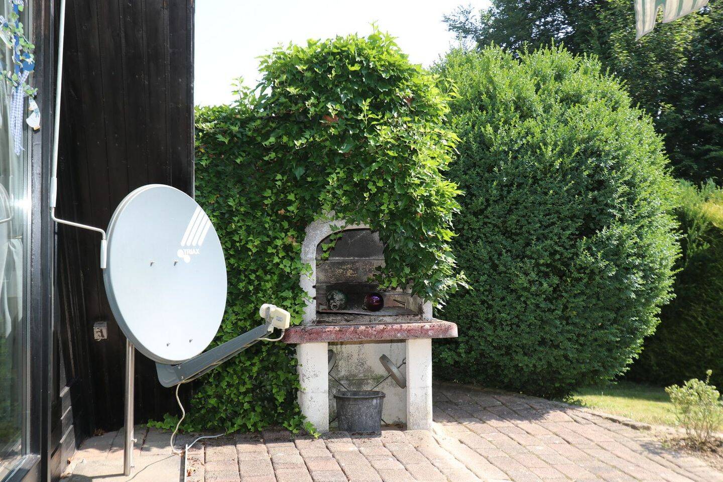 Bild 5